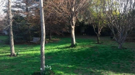 demo-attachment-147-german-bundestag-auxiliary-buildings-PBH76XZ