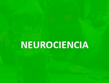 neurociencia2